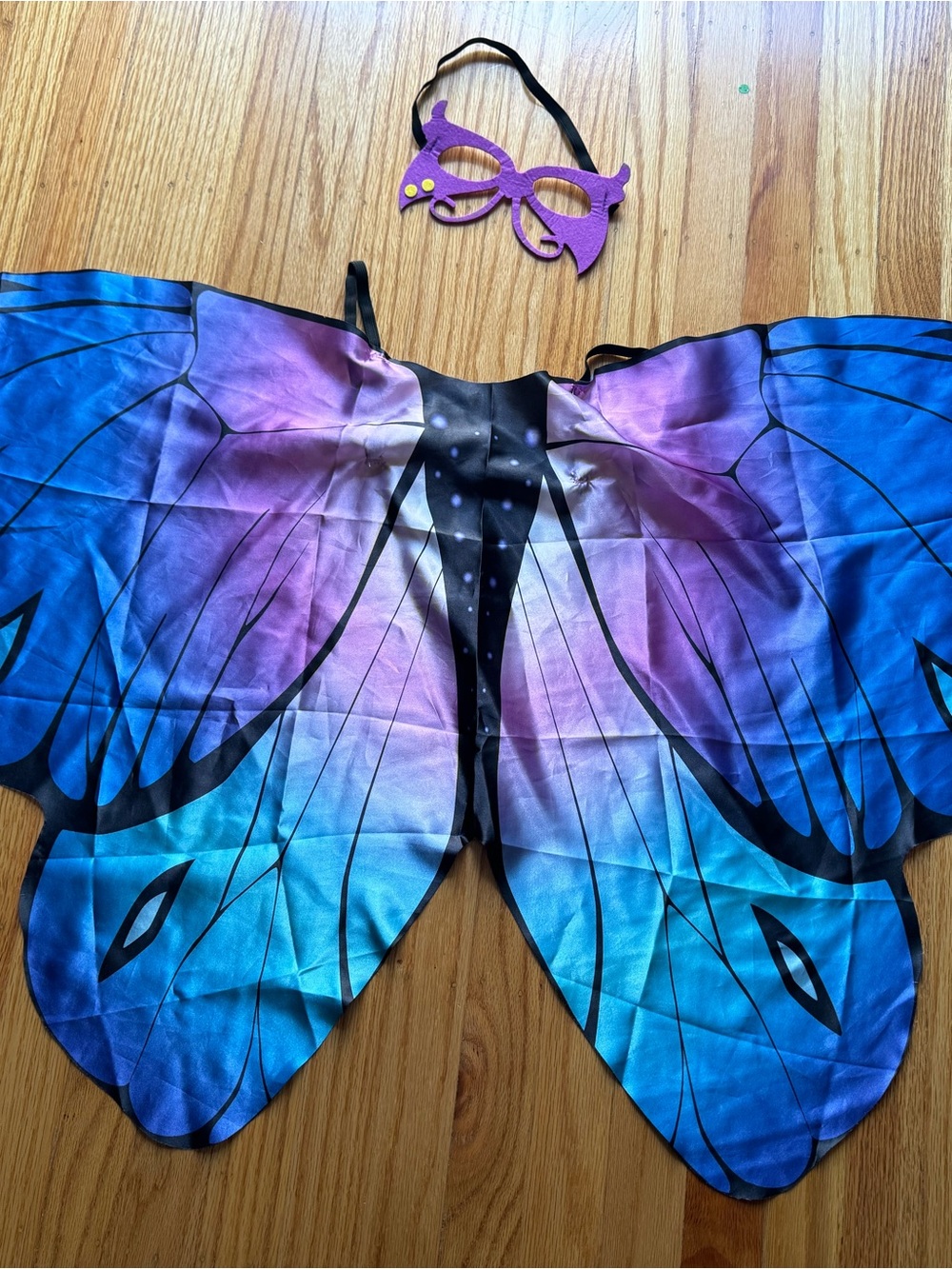 Butterfly Wings Halloween Costume 
Worn once on Halloween Day